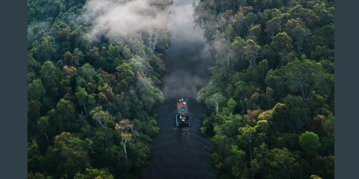 Έχεις αναρωτηθεί ποτέ πόσες γέφυρες έχει ο Αμαζόνιος?